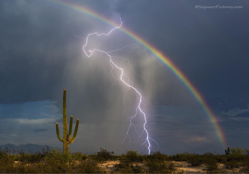 Gregtucson's tweet photo. This evening just before sunset, I finally got the shot I've been trying to get for years. http://t.co/JFJG4vlAb3