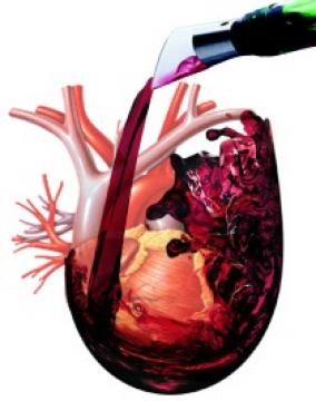 RaquelBlascoR's tweet photo. De lo que no se habla xq no está #financiado EL CONSUMO MODERADO DE ALCOHOL NO PROTEGE DE NADA http://t.co/LuJ7xbHo0W http://t.co/6ThAh13LNI