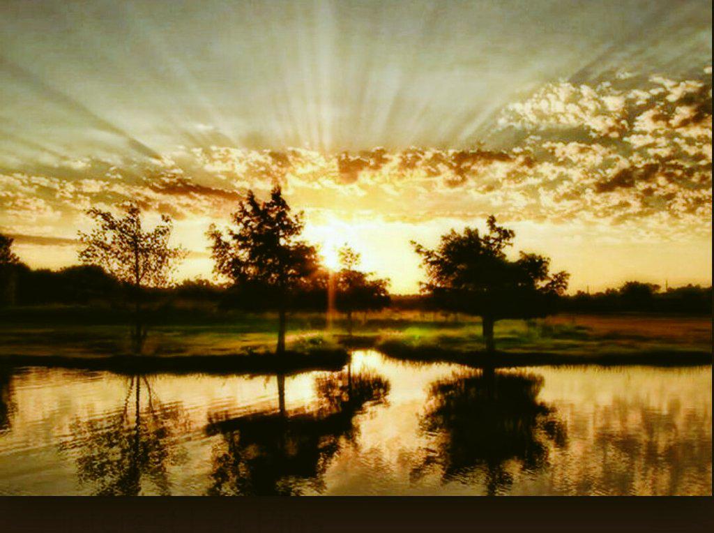 ronald9807's tweet photo. @megu3367 @pilitkd @mako671178 @GPANT2 @aamabama @Soosofs @SUPERBARBA. Good morning my friends http://t.co/B5Iy7V8hWo