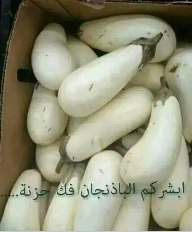 هههه