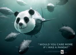 WWF_UF's tweet photo. Be the voice they wish they had!
#dontchoosetoabuse #cozwecare http://t.co/wBsyhKVK6f
