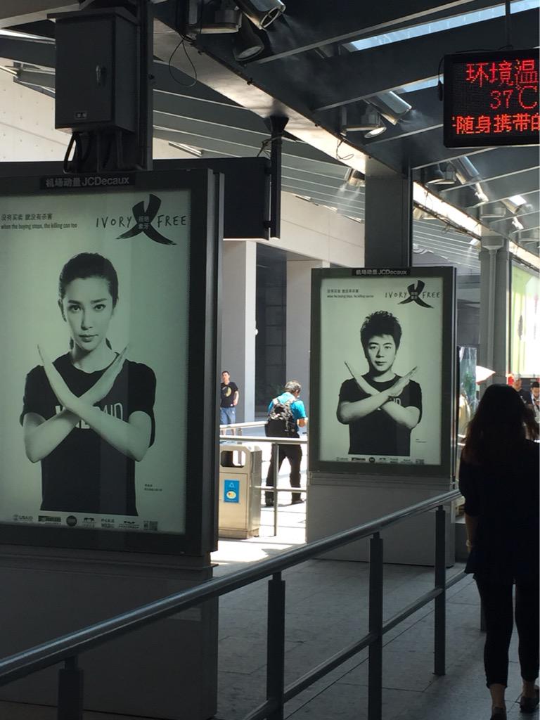 <a href="/Francismangeni/">Francis Mangeni</a> <a href="/JulieGichuru/">Julie Gichuru</a> <a href="/calestous/">Calestous Juma</a> "when the buying stops, the killing can too" billboards at Shanghai airport