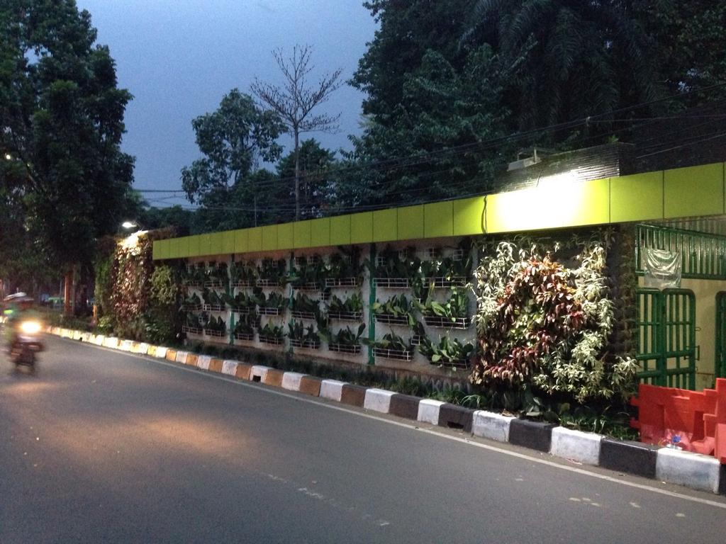 vertical garden