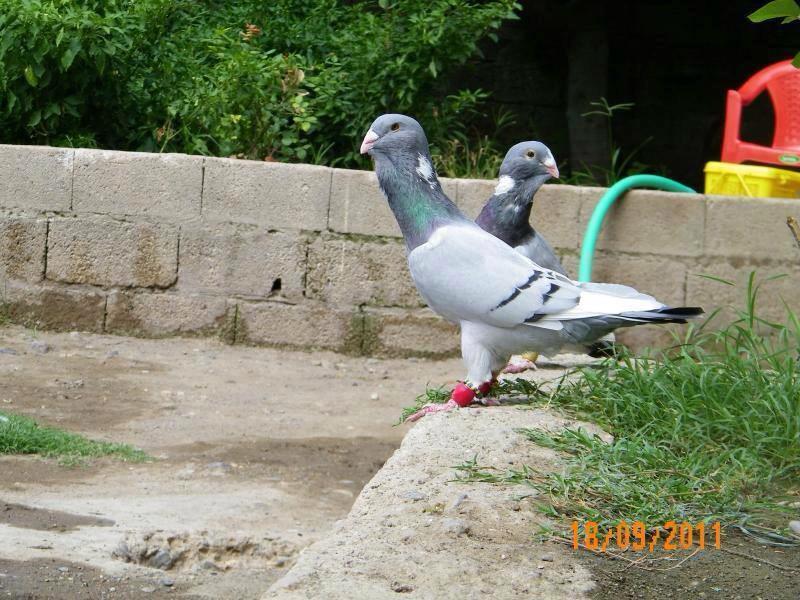 drpcXQLoxBiJGOB's tweet image. 