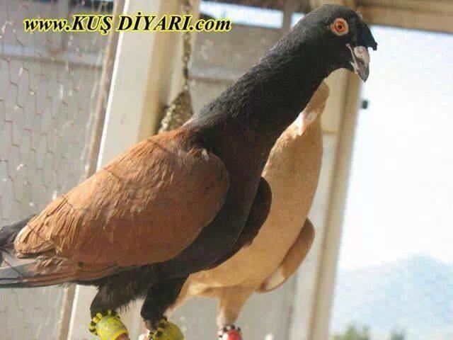 drpcXQLoxBiJGOB's tweet image. 