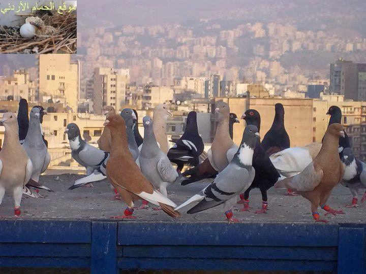 drpcXQLoxBiJGOB's tweet image. 