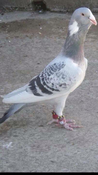 drpcXQLoxBiJGOB's tweet image. 