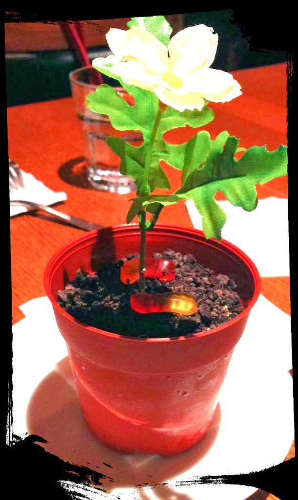 Ice cream pot #DreamComeTrue