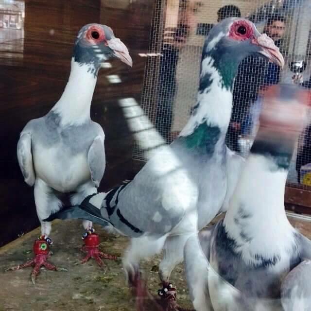 drpcXQLoxBiJGOB's tweet image. 