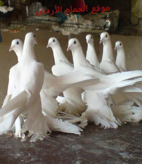 drpcXQLoxBiJGOB's tweet image. 