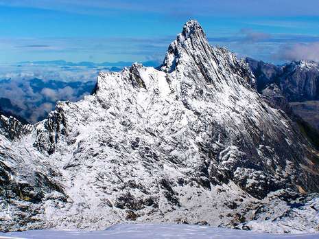 Pemerintah Diharap Bisa Bantu Atur Regulasi Pendakian Carstensz detik.id/61sDtS via <a href="/detiktravel/">detikTravel</a>