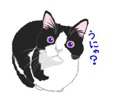 ハチワレ猫のtwitterイラスト検索結果 古い順 ハチワレ猫のtwitterイラスト検索結果 古い順