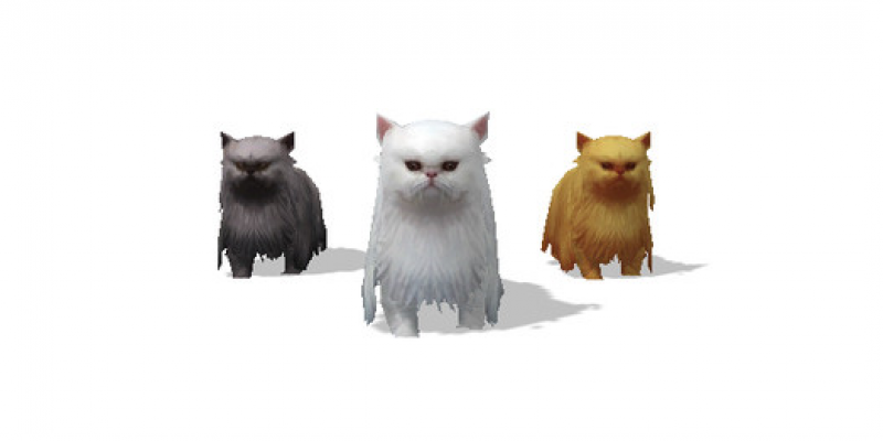 Union Assets On Twitter Pet Cat 1 Https T Co Lz98eexe6f Unity Unity3d 3dmodel Game Model Developer Http T Co 7yat7g6w1i Twitter