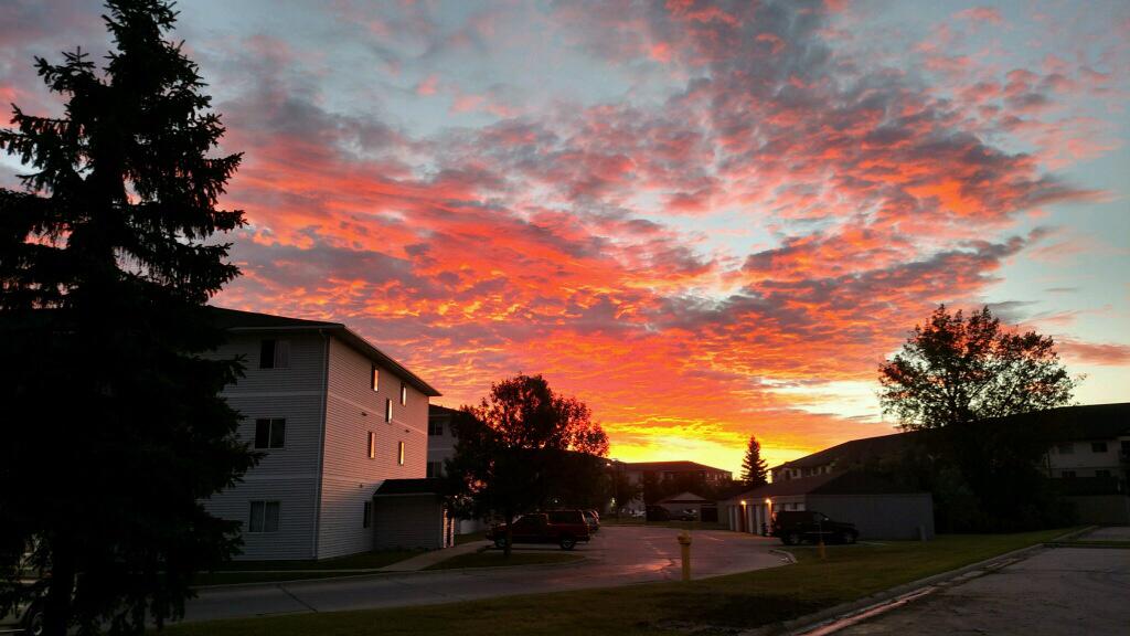 Carl Jones tweet media