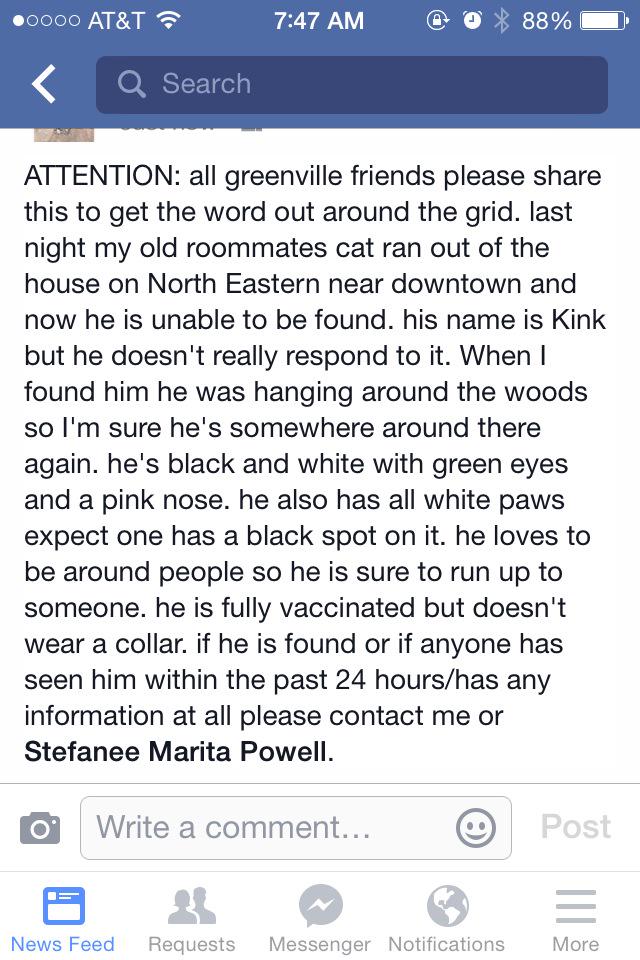 alliegvtor's tweet image. @ECUProfessor @ECUSquirrels @GreenvillePD i don't know who to send this at but please help find my friends cat!!
