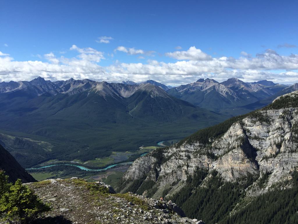 Mike Yawney tweet media