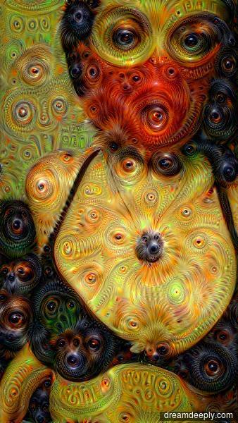 niseypurr's tweet image. #dreamdeeply #googledeepdream