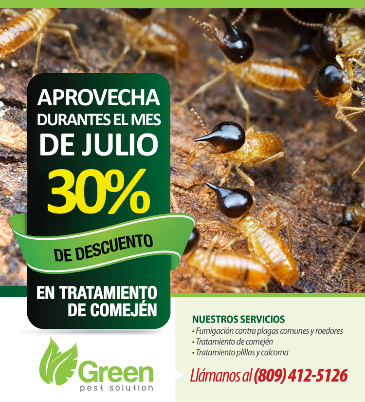 Greenpestrd's tweet photo. #ÚLTIMASEMANA aprovecha la #SUPEROFERTA de #GreenPestSolution llama ya al 809-412-5126. http://t.co/b7ia0UWtK8