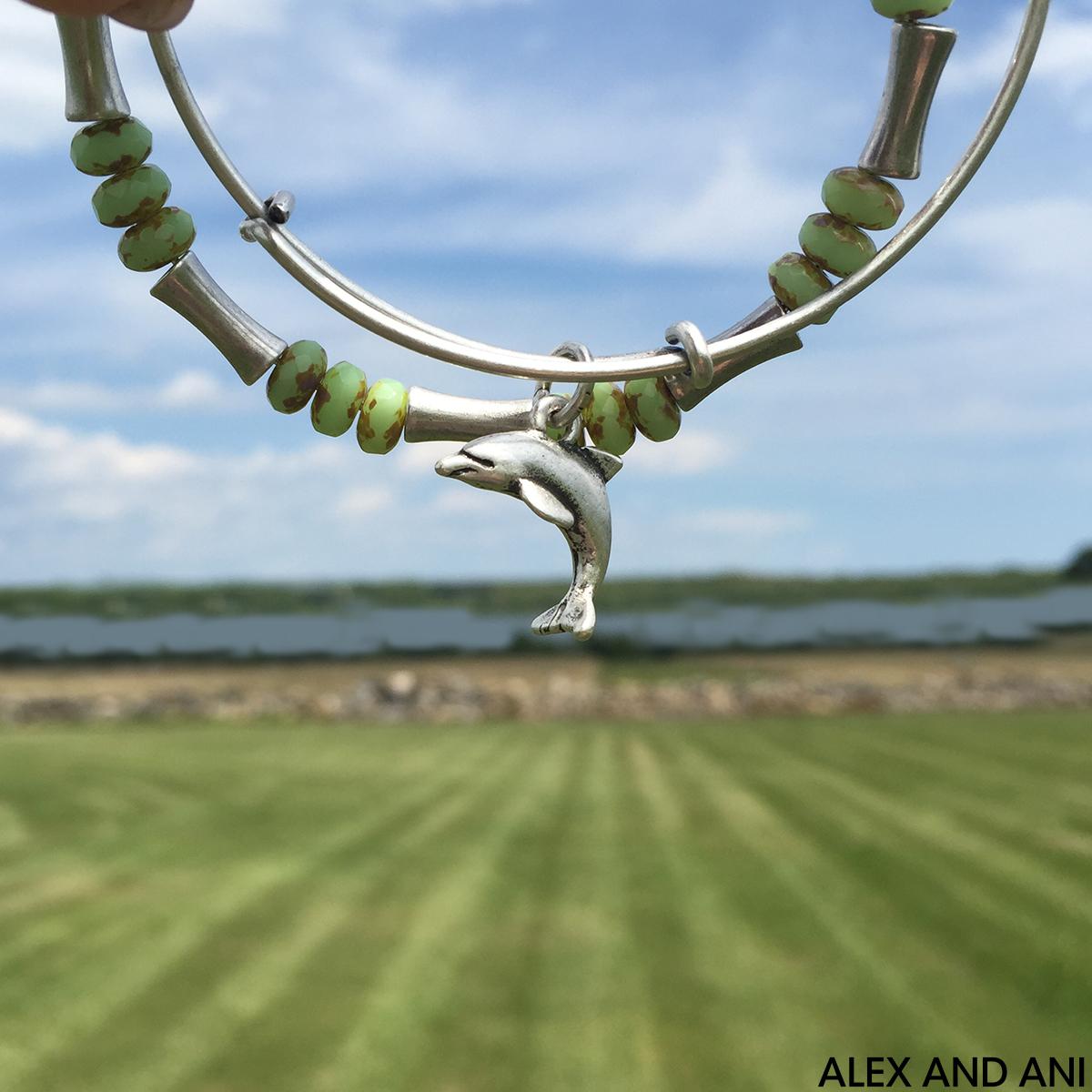 alexandani's tweet photo. Last call to enjoy $5 off the #banglesofthemonth with code SPLASH > http://t.co/kehxUAtb7D http://t.co/mIuZoeiLCF