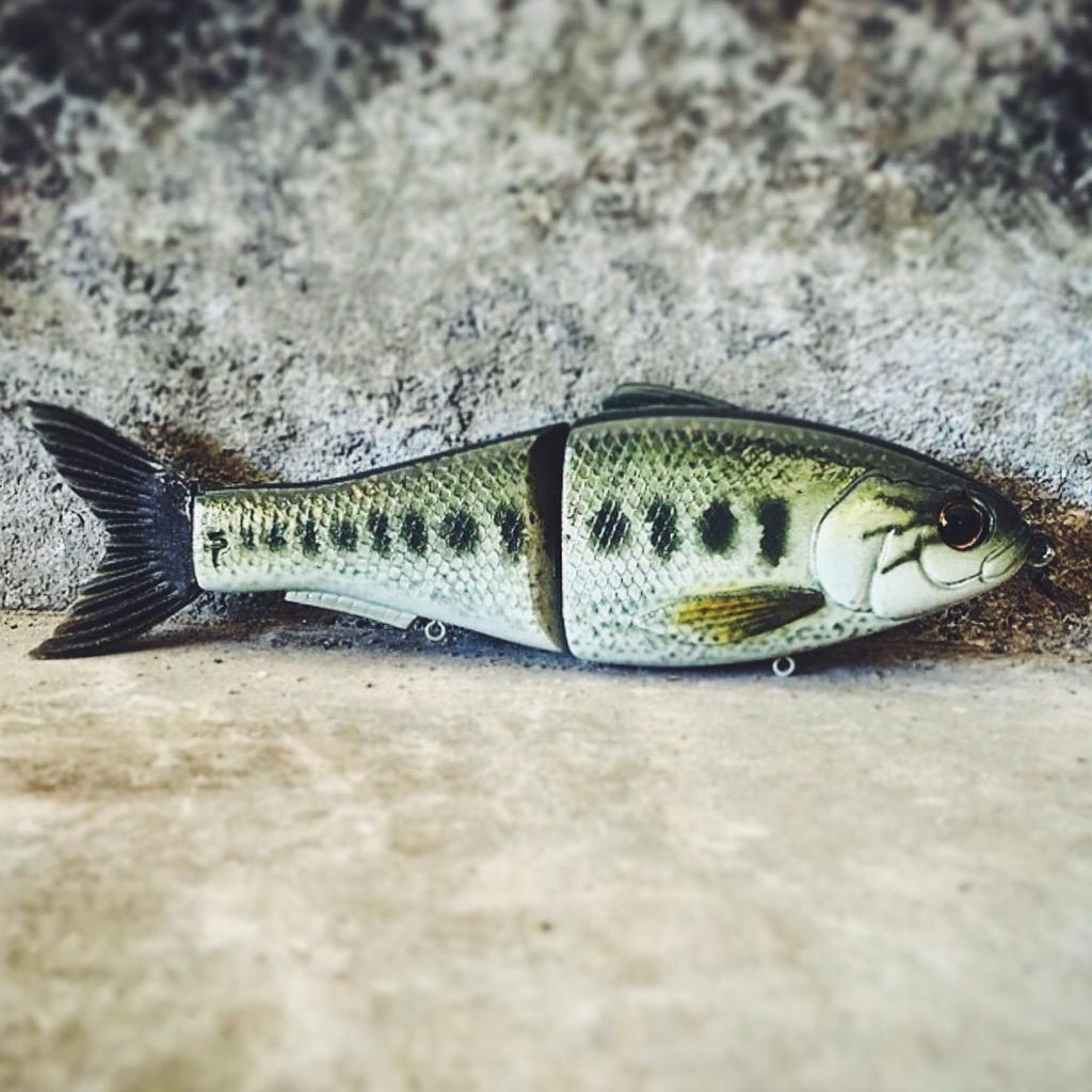 Swimbait Underground on X: Summer time is great for a baby bass