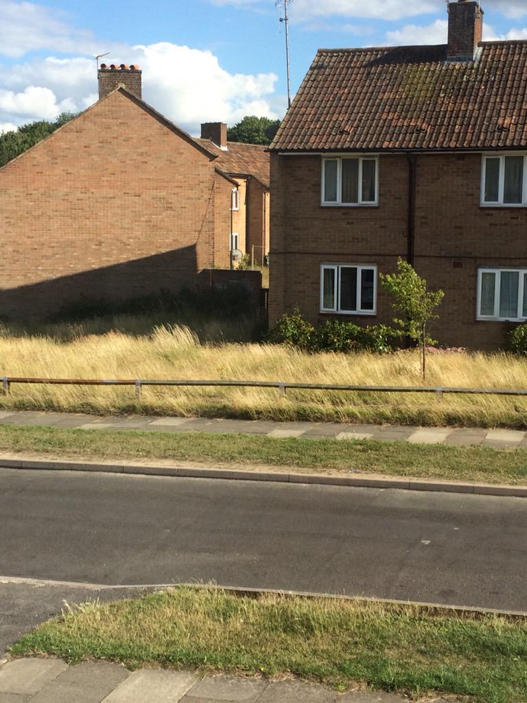 Adam smith tweet media