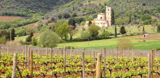 indagaretravel's tweet image. Indagare tips on #lookinglocal featured on @YahooTravel ow.ly/QbIlj