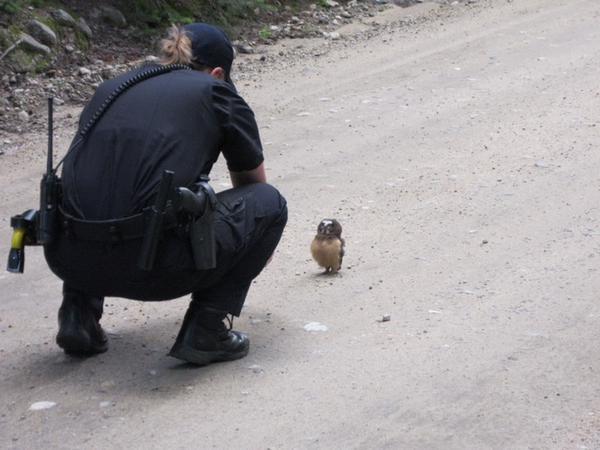 OnlyInBoulder's tweet photo. This @YouTube Video is #SOOODamnCute
https://t.co/j3k8XIwXrP
(Via @BldrCOSheriff #BoulderCO #BabyOwl #BoulderWildlife http://t.co/628TUhLLdZ