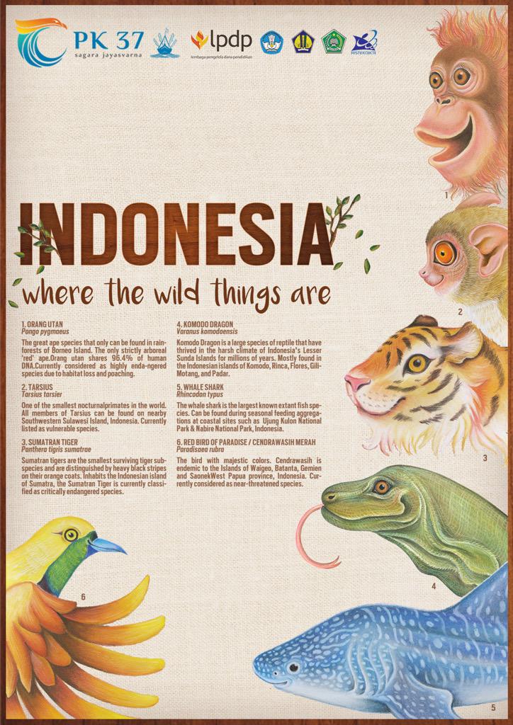 Do you know that Indonesia's wildlife is a home for some very rare animals? Let's save them! <a href="/LPDP_RI/">#DiriUntukNegeri</a> #PK-37