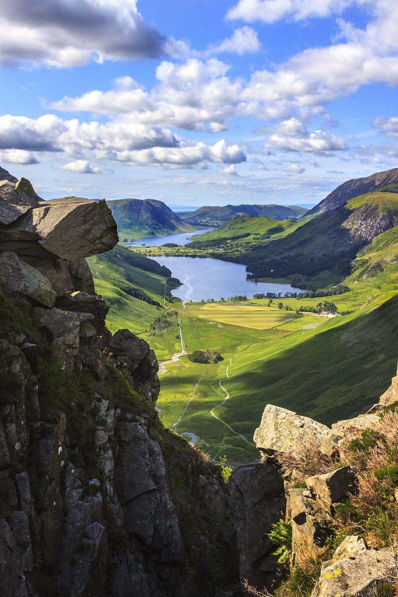 The Bridge tweet media