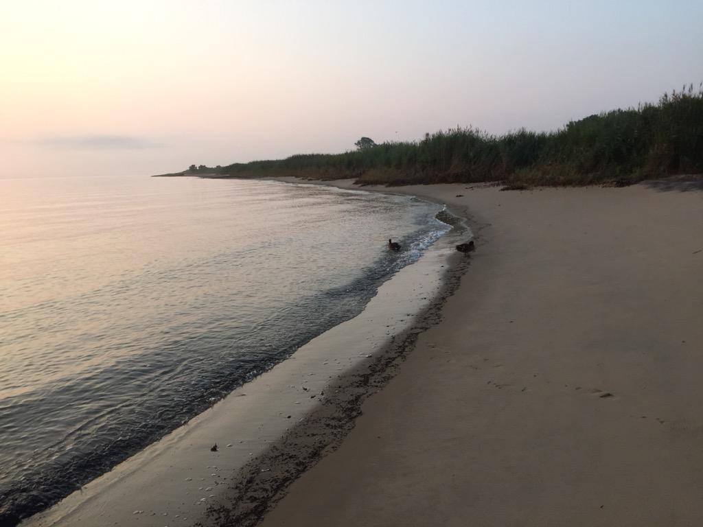 #Delaware Bay #sunrise this morning on one of the small beaches
