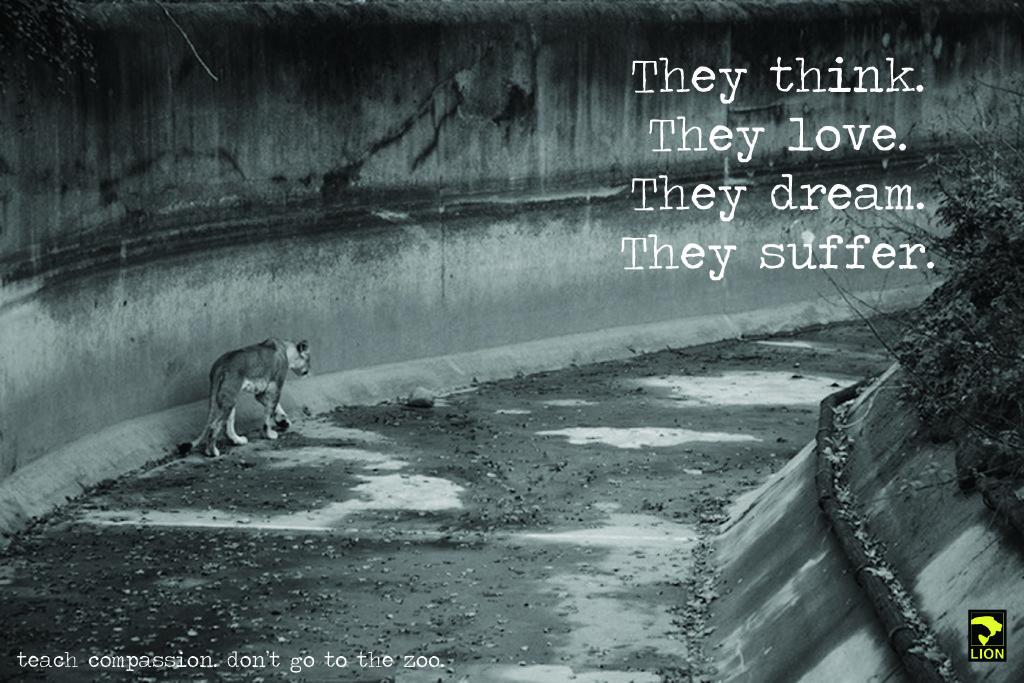 DuckDefenders's tweet photo. Because zoos deprive animals of everything that is natural! #CaptivityKills http://t.co/qvSDOBsxOK