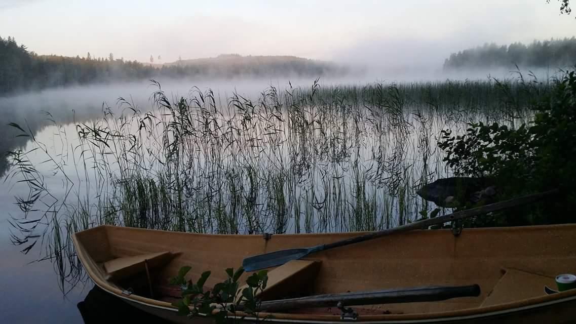 SirpaHH's tweet photo. Sumuinen aamu - misty morning #aamu #sumu #morgonen #morning #jaervi #sjön #lake #mist #luonto #naturen #nature http://t.co/4xnW5T0kX7