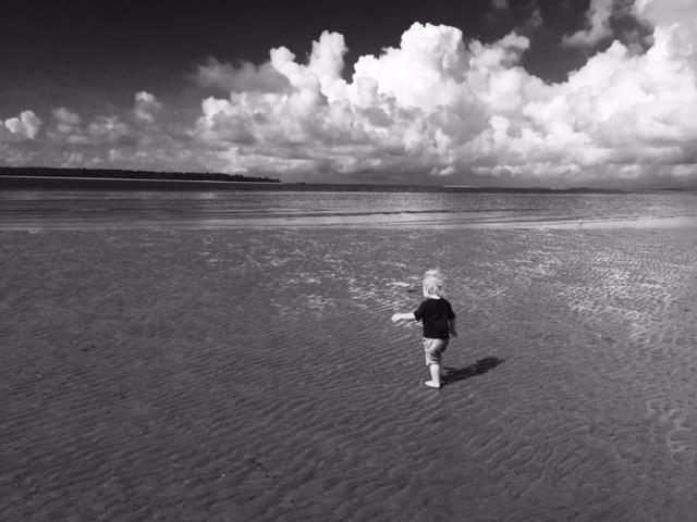 syflora's tweet photo. Do not go where the path may lead, go instead where there is no path and leave a trail. #stsimonsisland #islandliving http://t.co/2kP2jXdu9T