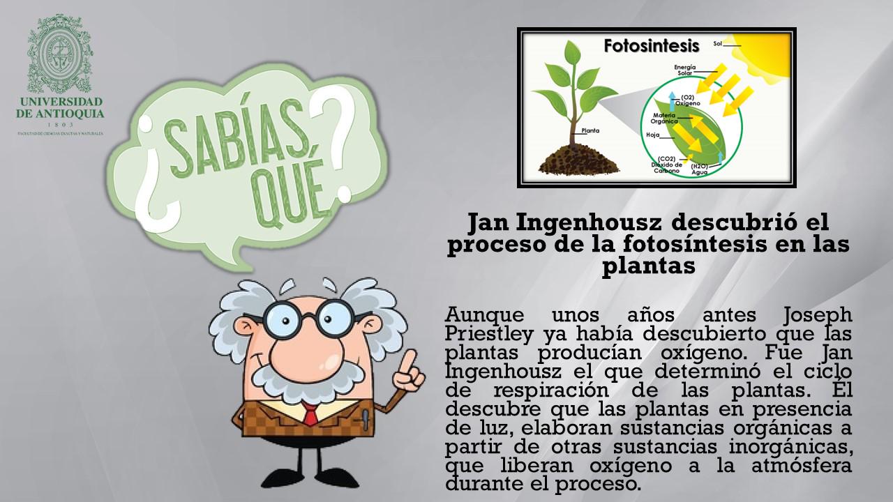 Facultad de Ciencias Exactas y Naturales UdeA on Twitter: Facultad de Ciencias Exactas y Naturales UdeA on Twitter: