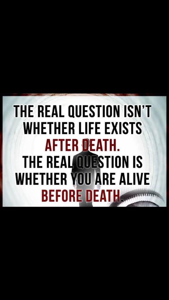 dchawks tweet picture