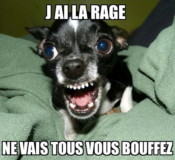 Lincompry tweet picture