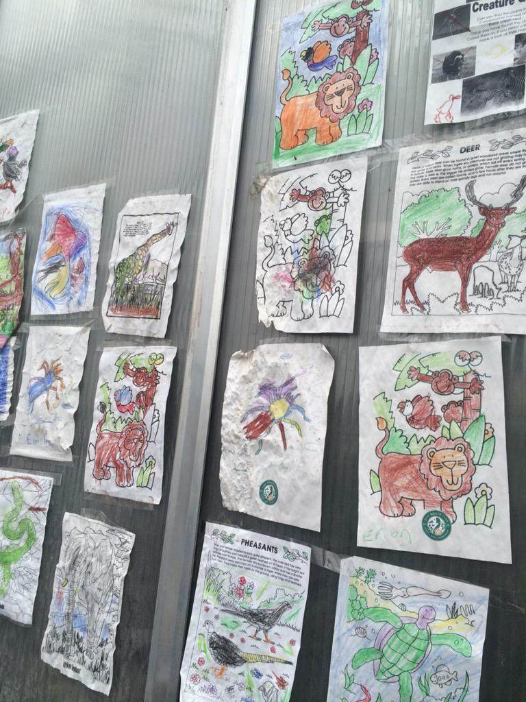 RPConservatory's tweet photo. This summer holidays, come to Roath Park Conservatory for more than just plants #wales #cardiff http://t.co/gNOzH5i4eJ