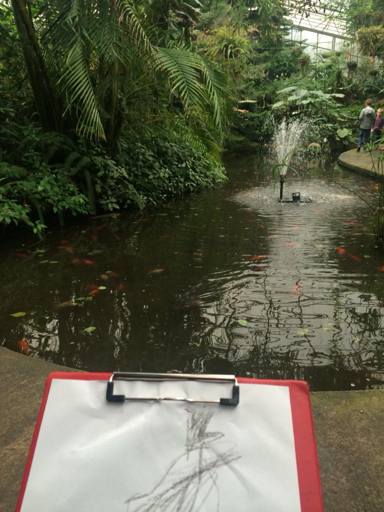 RPConservatory's tweet photo. This summer holidays, come to Roath Park Conservatory for more than just plants #wales #cardiff http://t.co/gNOzH5i4eJ