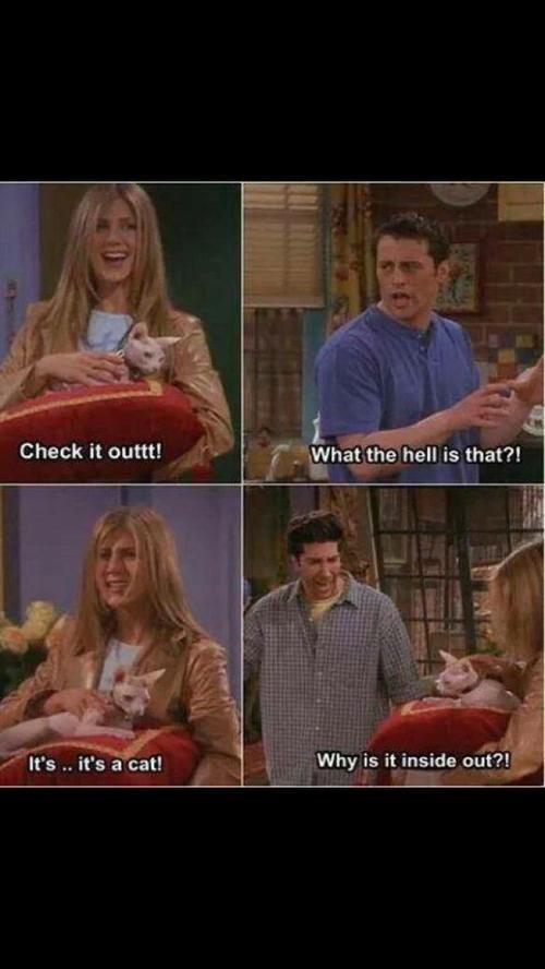 ForFaithSheLost's tweet image. @Thom_Mckinnon // OKAY I KNOW YOU'RE RACHEL AND I'M ROSS BUT THIS SITUATION IS REVERSED