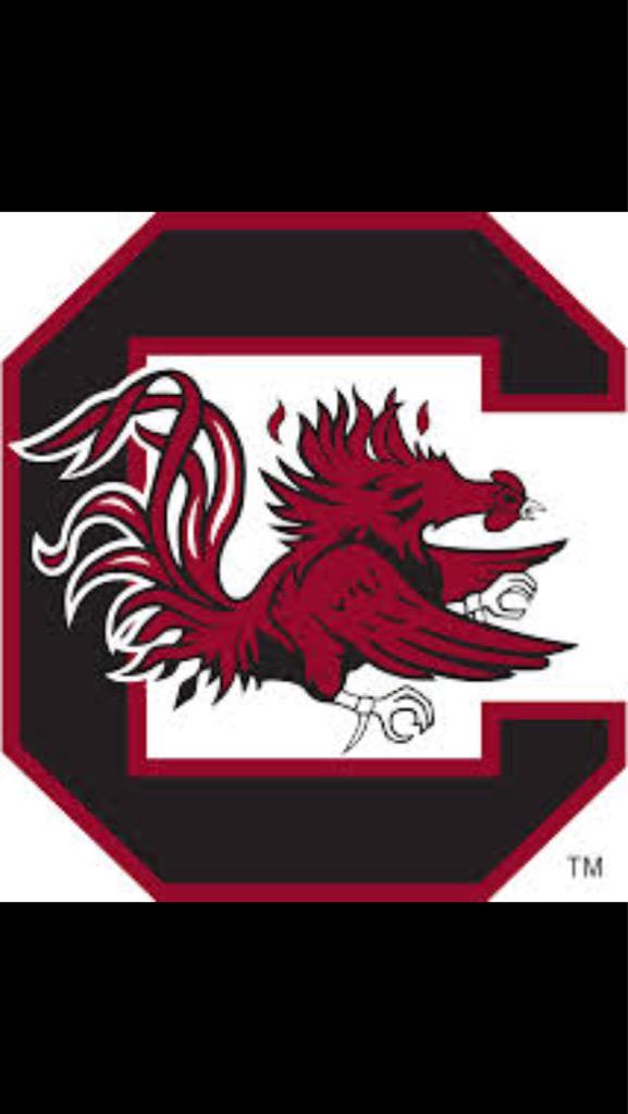 bracketbusters1's tweet photo. Best College Football Fanbase
Round of 32
RT-South Carolina 
FAV-Boise State http://t.co/PeHZJHvk4t