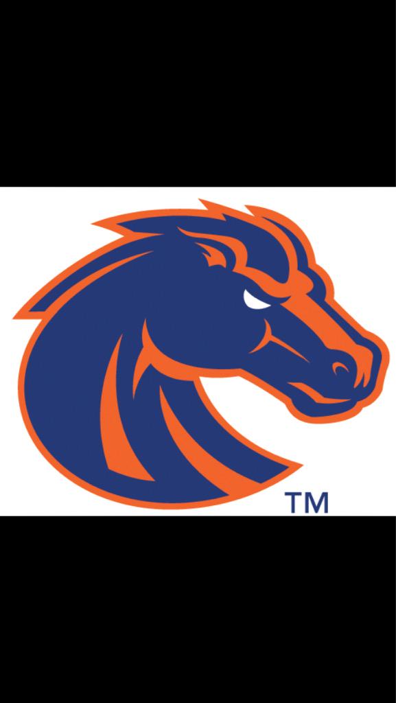 bracketbusters1's tweet photo. Best College Football Fanbase
Round of 32
RT-South Carolina 
FAV-Boise State http://t.co/PeHZJHvk4t