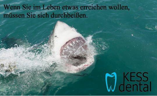 KESS dental (@kessdental) on Twitter photo 