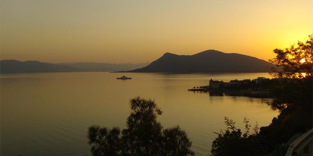 ATHENS EXPRESS tweet media