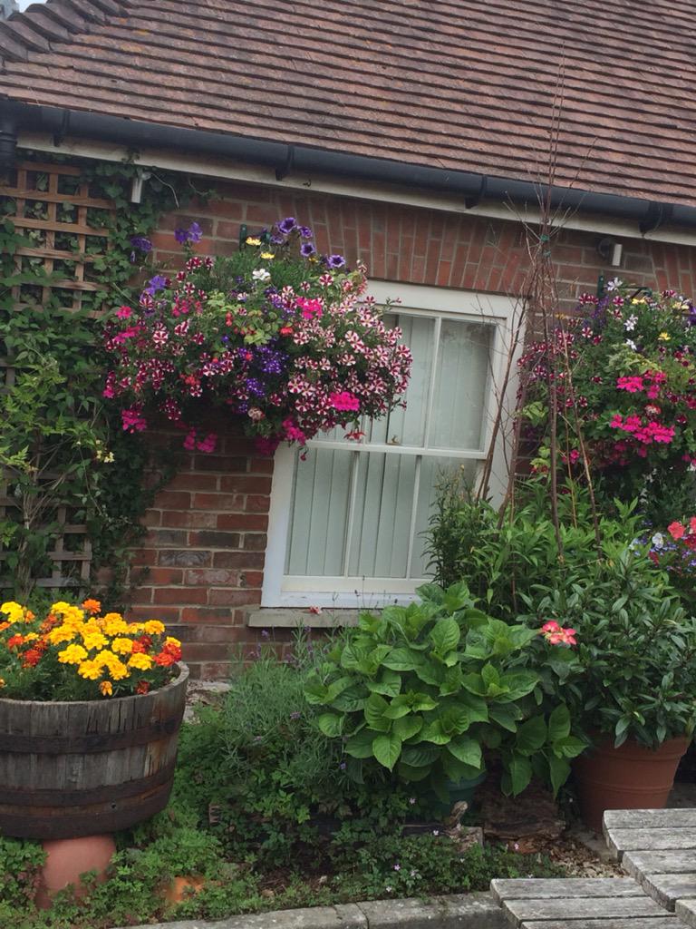 3Swans_HGD's tweet photo. Guess who's just won Hungerford in Bloom 2015, come along and see 😎 http://t.co/uYN2lqmowB