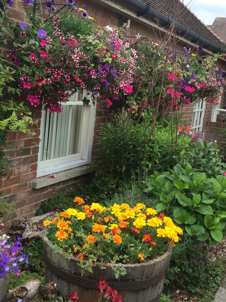 3Swans_HGD's tweet photo. Guess who's just won Hungerford in Bloom 2015, come along and see 😎 http://t.co/uYN2lqmowB