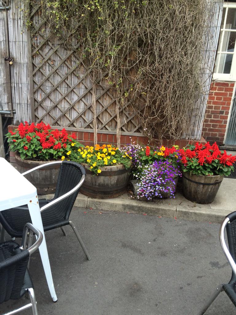 3Swans_HGD's tweet photo. Guess who's just won Hungerford in Bloom 2015, come along and see 😎 http://t.co/uYN2lqmowB