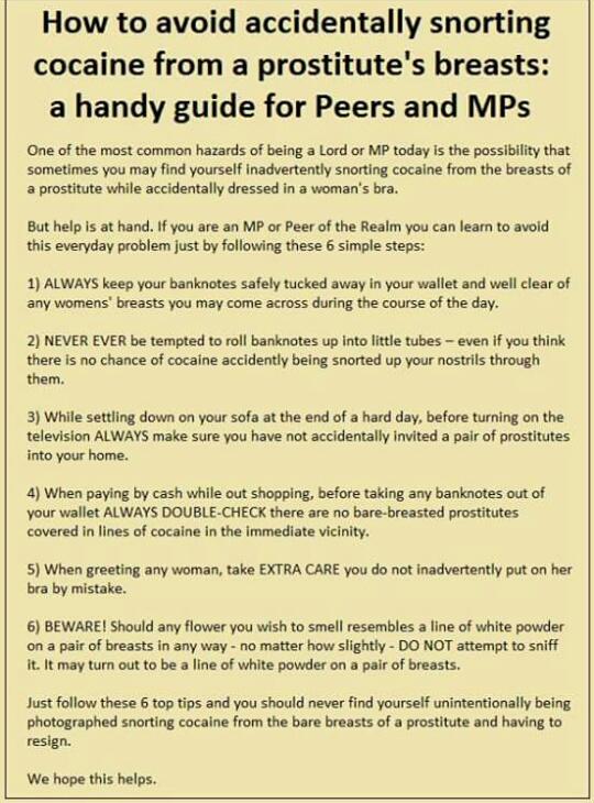 arlawrencewrite's tweet image. #howtoavoid a #guide for #peers and #MPs don&apos;t get #caught again!