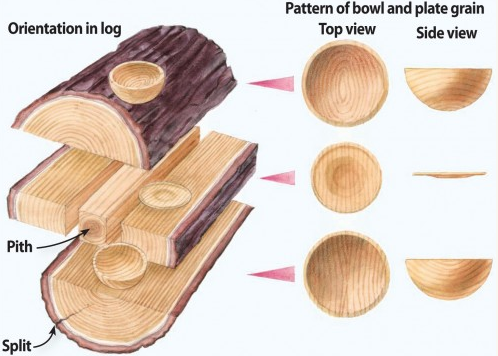 JET Woodworking on Twitter: "Know your wood. #TipTuesday #