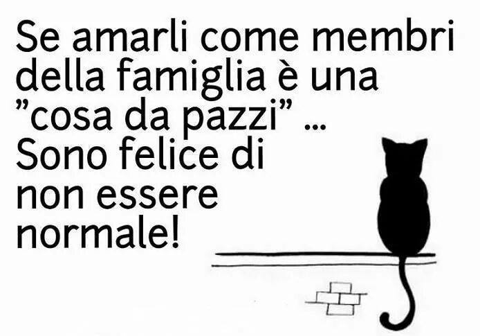 julylovescat's tweet photo. http://t.co/DQlrejrfQI