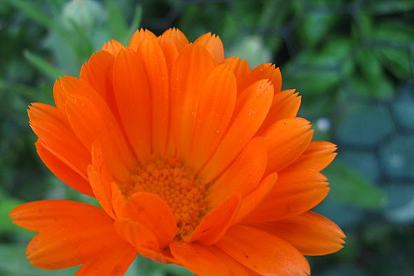 AlsoThadeaux's tweet image. #Conscientiousness Sweat the small stuff. Take care of the details. Our collective well-being depends on it.